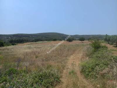 Tekirdağ Şarköy Çengelli Mahallesi Satılık Tarla 1