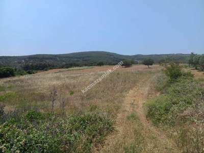 Tekirdağ Şarköy Çengelli Mahallesi Satılık Tarla 3