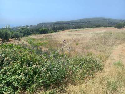 Tekirdağ Şarköy Çengelli Mahallesi Satılık Tarla 4