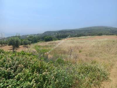 Tekirdağ Şarköy Çengelli Mahallesi Satılık Tarla 2