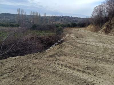 Tekirdağ Şarköy Çınarlı Mahallesi Satılık Zeytinlik 3
