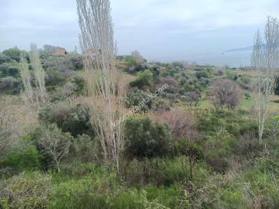 Tekirdağ Şarköy Çınarlı Mahallesi Satılık Tarla 1