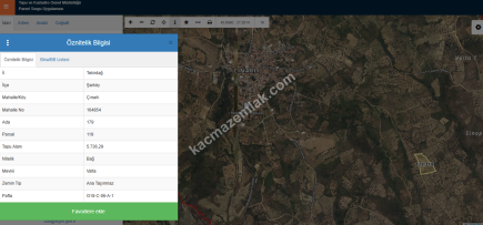 Tekirdağ Şarköy Çınarlı Mahallesi Satılık Zeytinlik 10