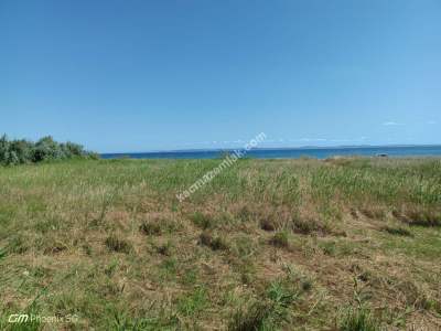 Tekirdağ Şarköy Eriklicede Satılık İmara Komşu Tarla 9