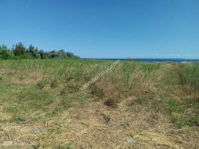 Tekirdağ Şarköy Eriklicede Satılık İmara Komşu Tarla 5