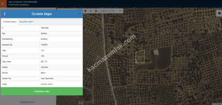 Tekirdağ Şarköy Eriklice Mahallesi Satılık Zeytinlik 11