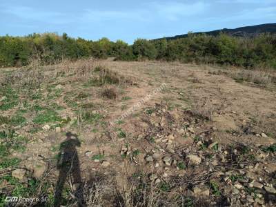 Tekirdağ Şarköy Gölcük Mahallesi Satılık Tarla 3