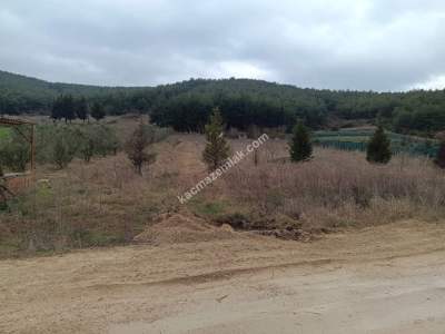 Tekirdağ Şarköy Gölcük Mahallesi Satılık Arazi 5