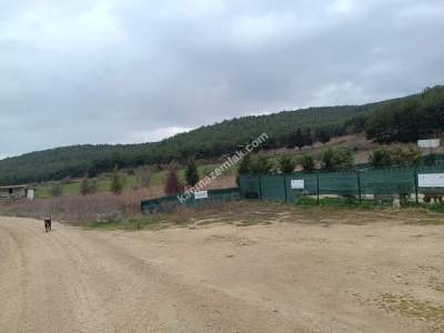 Tekirdağ Şarköy Gölcük Mahallesi Satılık Arazi 4