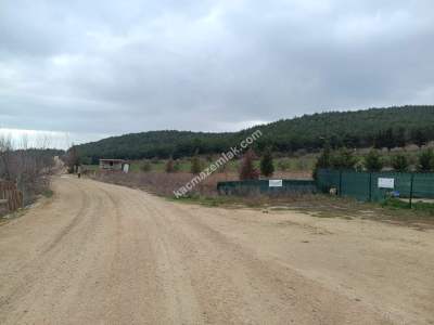 Tekirdağ Şarköy Gölcük Mahallesi Satılık Arazi 3