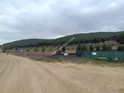 Tekirdağ Şarköy Gölcük Mahallesi Satılık Arazi 2