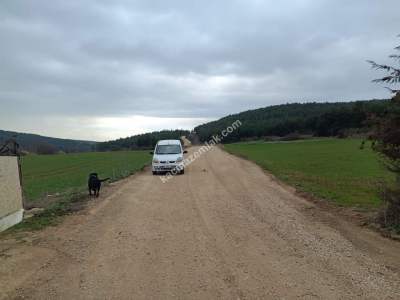 Tekirdağ Şarköy Gölcük Mahallesi Satılık Arazi 6