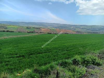 Tekirdağ Şarköy Gölcük Mahallesi Asfalta Sıfır Tarla 6
