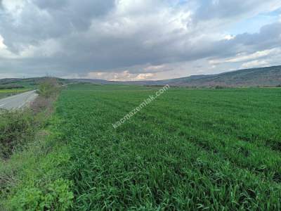Tekirdağ Şarköy Gölcük Mahallesi Asfalta Sıfır Tarla 2