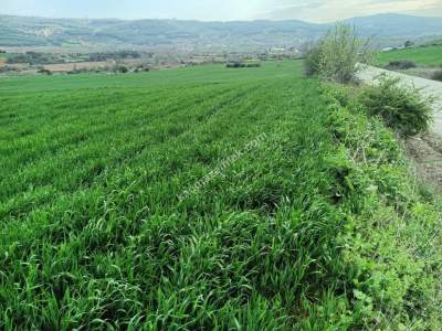 Tekirdağ Şarköy Gölcük Mahallesi Asfalta Sıfır Tarla 5