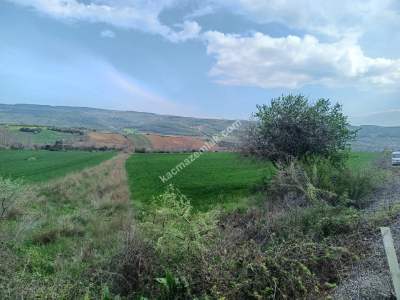 Tekirdağ Şarköy Gölcük Mahallesi Asfalta Sıfır Tarla 8