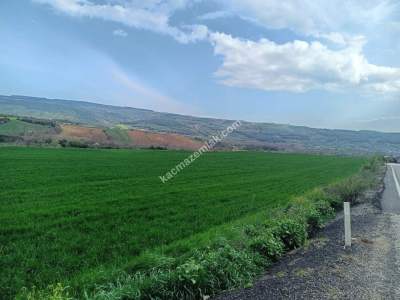 Tekirdağ Şarköy Gölcük Mahallesi Asfalta Sıfır Tarla 4