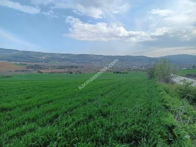 Tekirdağ Şarköy Gölcük Mahallesi Asfalta Sıfır Tarla 3