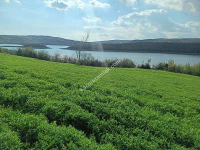 Tekirdağ Şarköy Yayağaç Köyü Satılık Baraj Manzaratarla 6