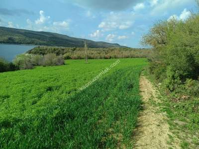 Tekirdağ Şarköy Yayağaç Köyü Satılık Baraj Manzaratarla 12