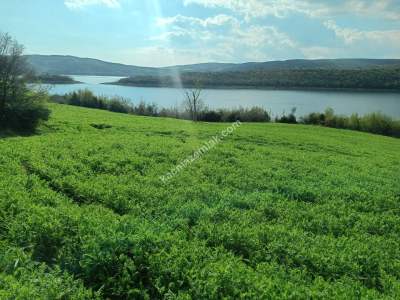 Tekirdağ Şarköy Yayağaç Köyü Satılık Baraj Manzaratarla 8