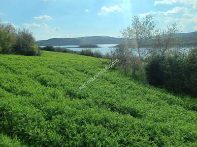 Tekirdağ Şarköy Yayağaç Köyü Satılık Baraj Manzaratarla 10
