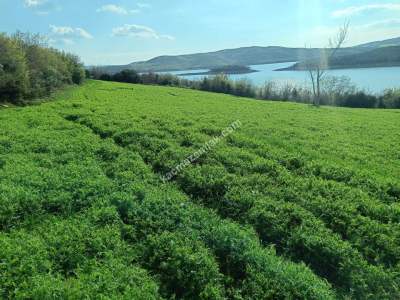 Tekirdağ Şarköy Yayağaç Köyü Satılık Baraj Manzaratarla 7