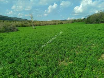 Tekirdağ Şarköy Yayağaç Köyü Satılık Baraj Manzaratarla 15