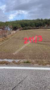 Tekirdağ Şarköy Gölcük Mahallesi Asfalta Sıfır Tarla 5