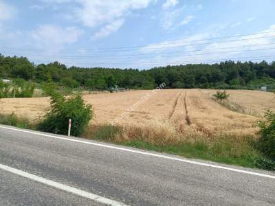 Tekirdağ Şarköy Gölcük Mahallesi Asfalta Sıfır Tarla 9