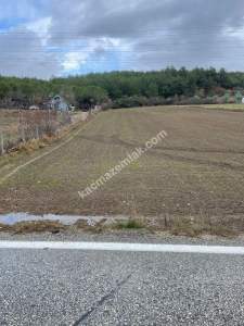 Tekirdağ Şarköy Gölcük Mahallesi Asfalta Sıfır Tarla 4