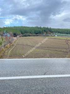 Tekirdağ Şarköy Gölcük Mahallesi Asfalta Sıfır Tarla 7