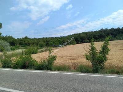 Tekirdağ Şarköy Gölcük Mahallesi Asfalta Sıfır Tarla 10