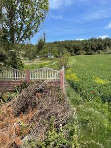 Tekirdağ Şarköy Gölcük Mahallesi Asfalta Sıfır Tarla 1