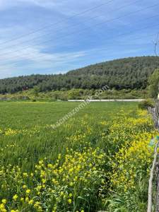 Tekirdağ Şarköy Gölcük Mahallesi Asfalta Sıfır Tarla 3