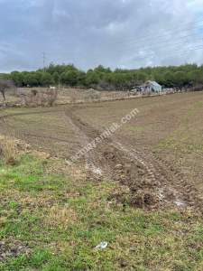 Tekirdağ Şarköy Gölcük Mahallesi Asfalta Sıfır Tarla 6