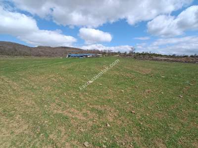 Tekirdağ Şarköy Güzelköy Mahallesi Satılık Tarla 10