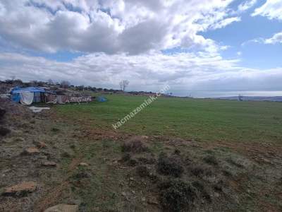 Tekirdağ Şarköy Güzelköy Mahallesi Satılık Tarla 4