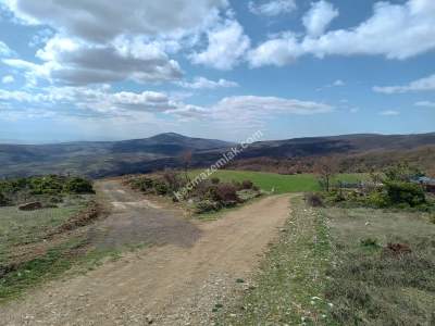 Tekirdağ Şarköy Güzelköy Mahallesi Satılık Tarla 6