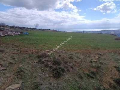 Tekirdağ Şarköy Güzelköy Mahallesi Satılık Tarla 3
