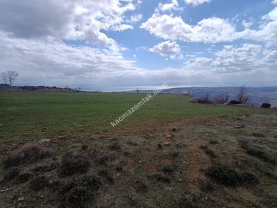 Tekirdağ Şarköy Güzelköy Mahallesi Satılık Tarla 5