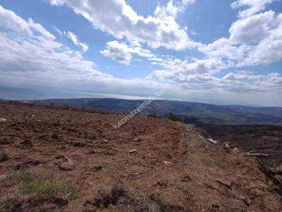 Tekirdağ Şarköy Güzelköy Mahallesi Satılık Tarla 7