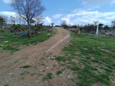 Tekirdağ Şarköy Güzelköy Mahallesi Satılık Tarla 2