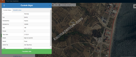 Tekirdağ Şarköy Hoşköy Mahallesi Satılık Zeytinlik 9