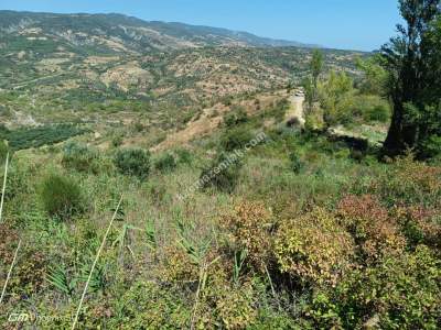 Tekirdağ Şarköy Hoşköy Mahallesi Satılık Tarla 9