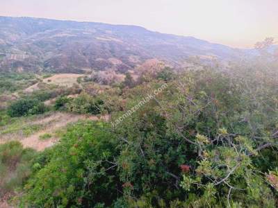 Tekirdağ Şarköy Hoşköy Satılık Deniz Manzaralı Tarla 6