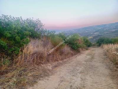 Tekirdağ Şarköy Hoşköy Satılık Deniz Manzaralı Tarla 3