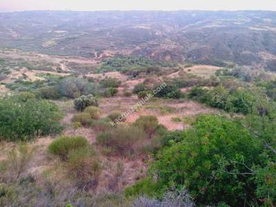 Tekirdağ Şarköy Hoşköy Satılık Deniz Manzaralı Tarla 5