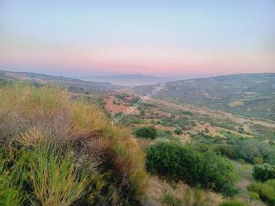 Tekirdağ Şarköy Hoşköy Satılık Deniz Manzaralı Tarla 1