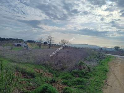 Tekirdağ Şarköy İğdebağları Mahallesi Satılık Tarla 4